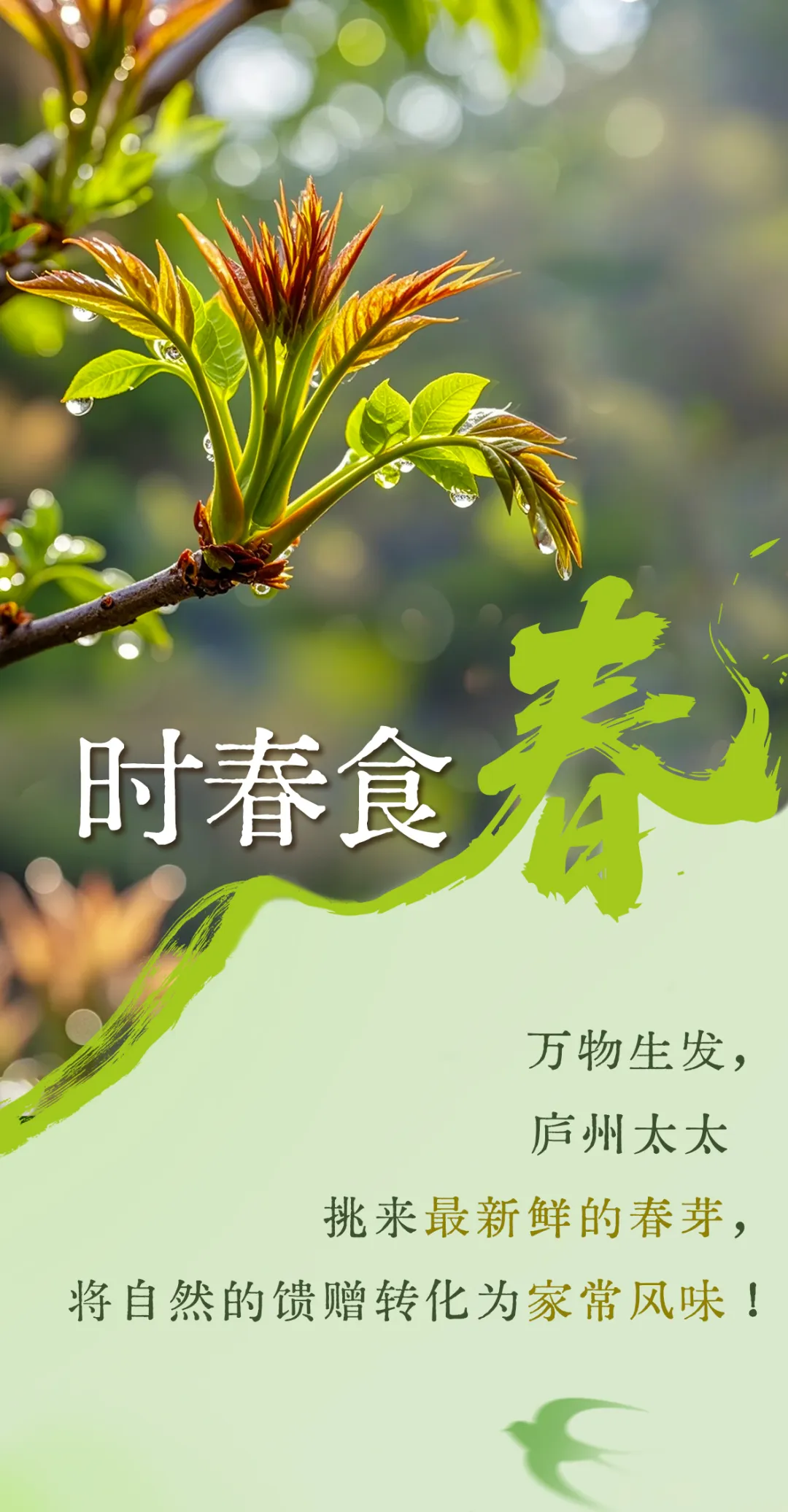 春芽鲜，一口嫩，春味正当时！